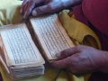 Manarasovar Güsul Gompa Mönch liest in heiligenSchriften