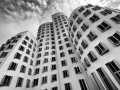 stefan-lippert-21
